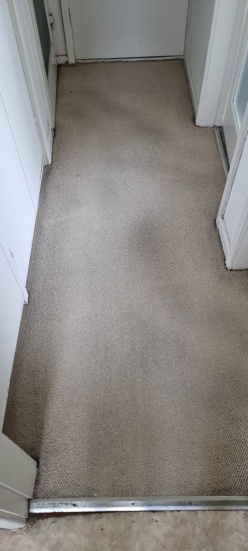 Professional Carpet Cleaning AshtonunderLyne The Best Service